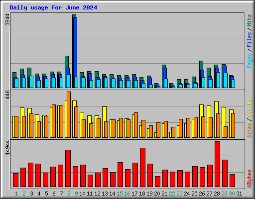 Daily usage for June 2024