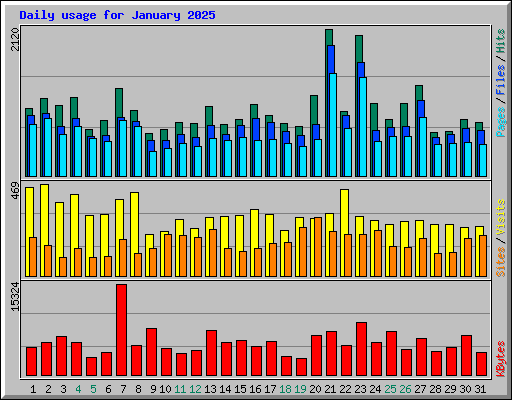 Daily usage for January 2025