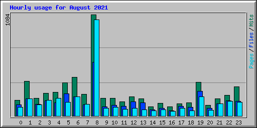 Hourly usage for August 2021