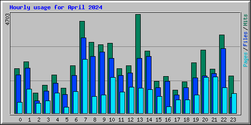 Hourly usage for April 2024