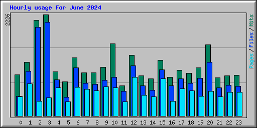 Hourly usage for June 2024
