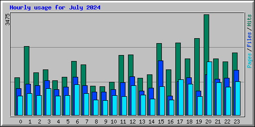 Hourly usage for July 2024