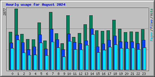 Hourly usage for August 2024