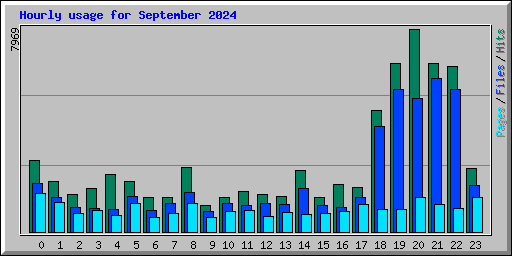 Hourly usage for September 2024