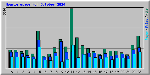 Hourly usage for October 2024