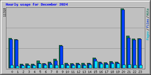 Hourly usage for December 2024