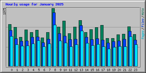 Hourly usage for January 2025