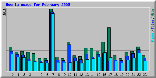 Hourly usage for February 2025