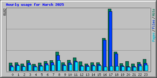 Hourly usage for March 2025