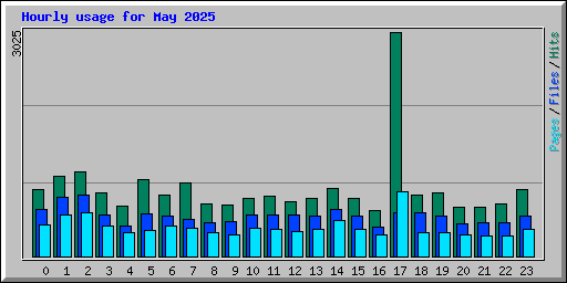Hourly usage for May 2025